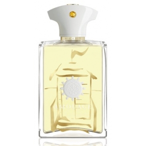 amouage beach hut w 100 ml edp (oman) парфюмерная вода 100 мл от Amouage