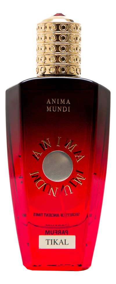 anima mundi tikal 75