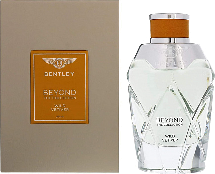 bentley beyond wild vetiver 100