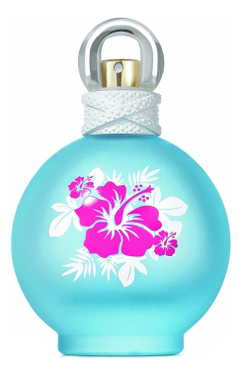 britney spears fantasy maui edt 100ml туалетная вода 100 мл от Britney Spears