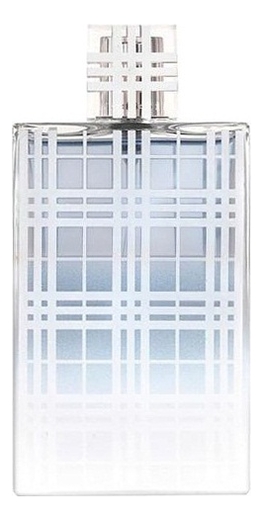 burberry brit men 100