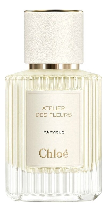Atelier Des Fleurs Papyrus Chloe