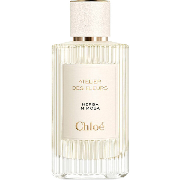 chloe atelier des fleurs verbena 50