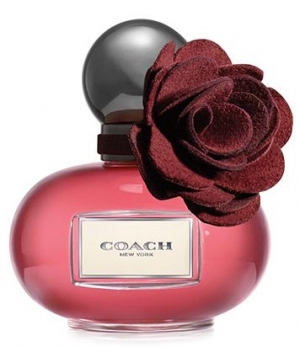 Poppy Wild Flower парфюмерная вода 100 мл от Coach