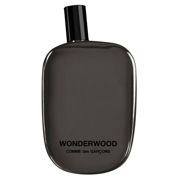 comme des garcons wonderwood 100