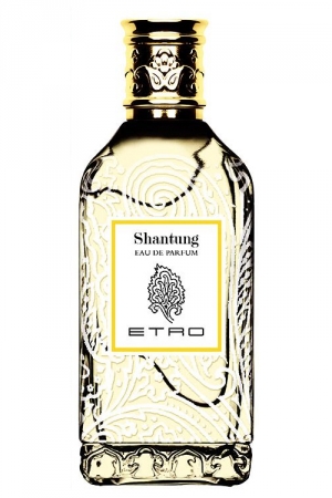 etro shantung 100 edp парфюмерная вода 100 мл от Etro