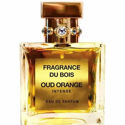 6645 fragrance du bois oud orange intense 100