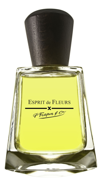 Esprit de Fleurs парфюмерная вода 100 мл от Frapin