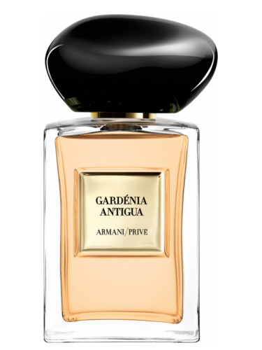 armani prive gardenia antigua 100