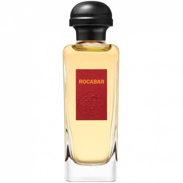 hermes rocabar men 100