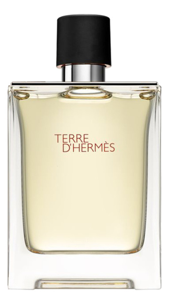 hermes terre dhermes 100