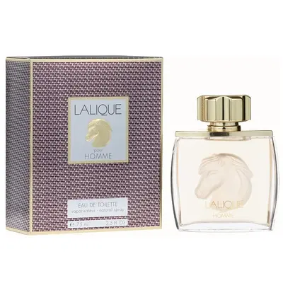 lalique equus pour homme 75