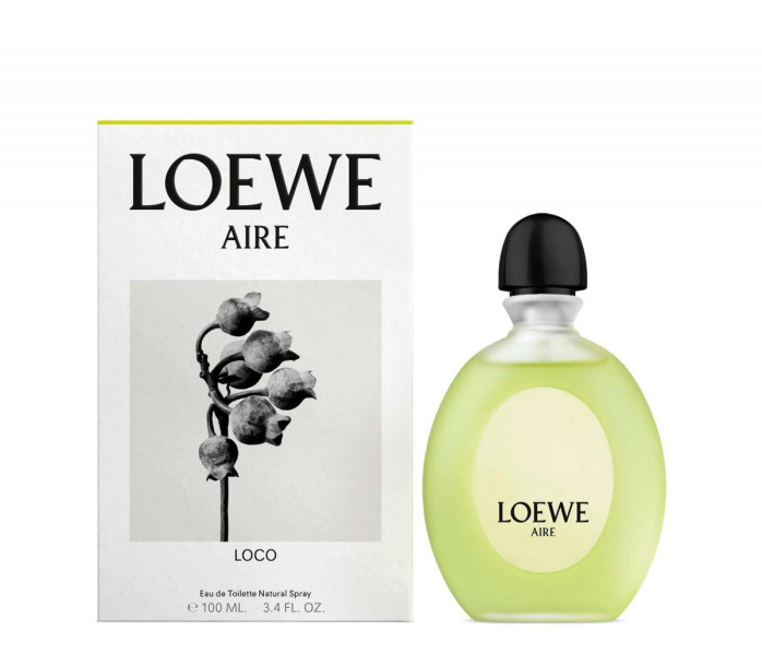 loewe loco 100