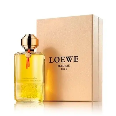 loewe atardecer en los jardines del buen retiro 100 от Loewe