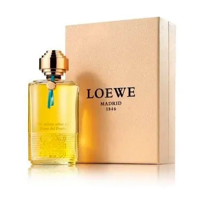 loewe el paseo del prado 100