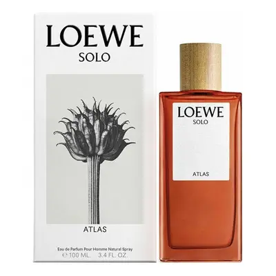 loewe solo atlas 100