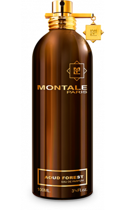 montale aoud forest 100