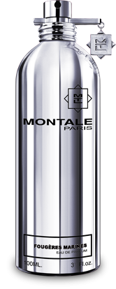 montale fougeres marines 20