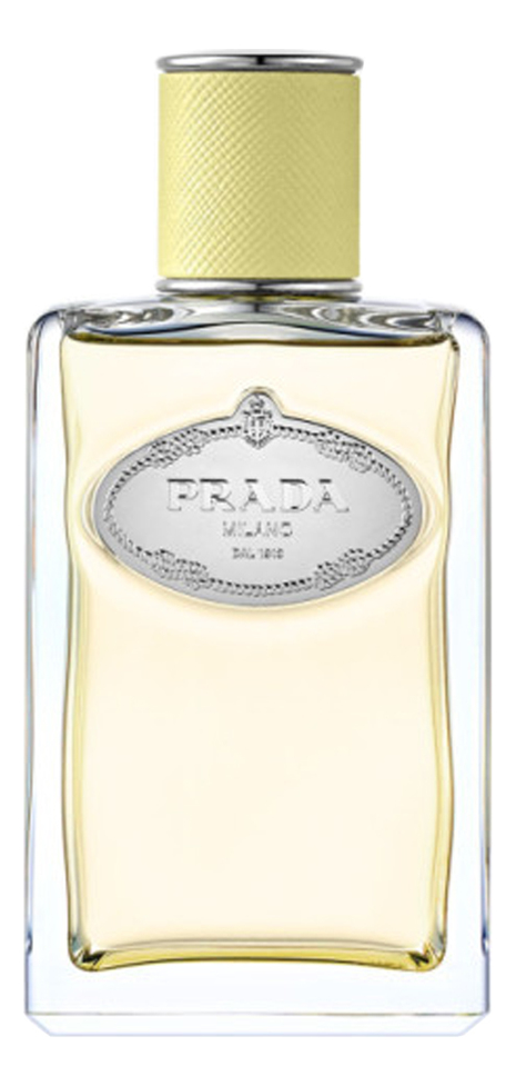 prada milano infusion de gingembre 100