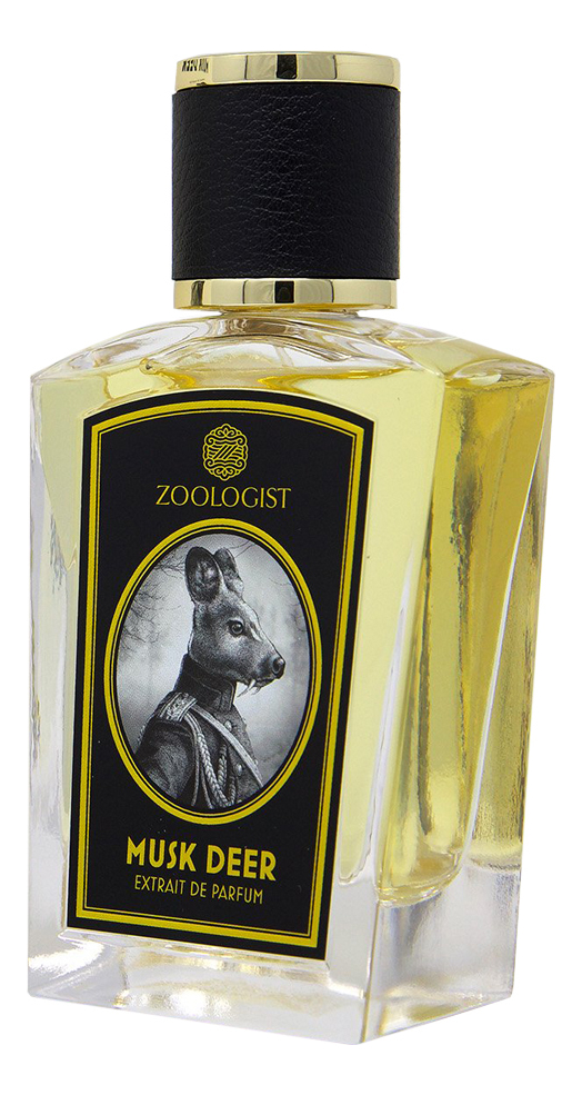 Musk Deer Zoologist Perfumes