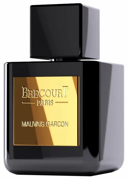 brecourt mauvais garcon 100 ml edp парфюмерная вода 100 мл от Brecourt