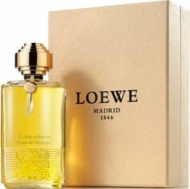 loewe madrid 1846 el cielo sobre la plaza de oriente 100 от Loewe