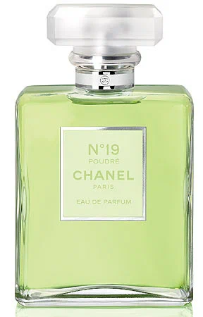 chanel n 19 poudre 100