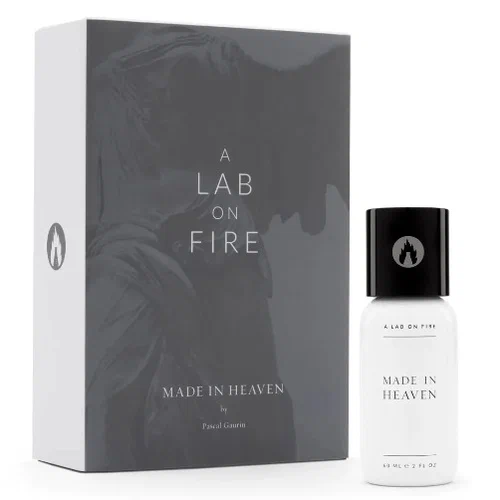 what we do is secret a lab on fire made in heaven pascal gaurin
