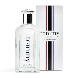 tommy hilfiger tommy men 100 cologne